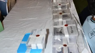 ऑपरेशन गैंग बस्ट के दौरान पुलिस की ओर से की गई बरामदगी। फोटो: जागरण