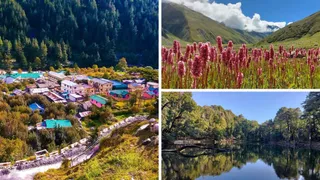 गंगोत्री धाम के यात्रा मार्ग पर पड़ने वाले दयारा बुग्याल, हर्षिल, क्यारकोटी ट्रेक, नेलांग घाटी व नचिकेता ताल की सैर आपकी यात्रा को यादगार बना देगी।
