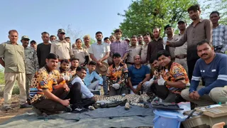 नर चीता केएपी-12 को बेहोश करने के बाद हेल्थ चेकअप करती हुई कूनो नेशनल पार्क की टीम। (सौजन्य- पार्क प्रबंधन)