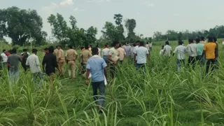 यूपी-बिहार बॉर्डर पर गन्ने के खेत में छिपा तेंदुआ, गोरखपुर से मंगाई ट्रेंकुलाइजर गन