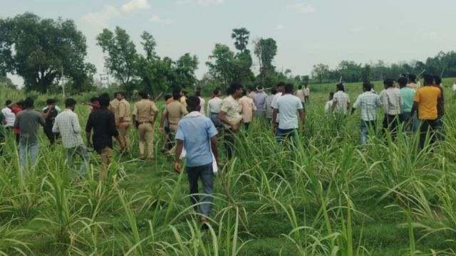 यूपी-बिहार बॉर्डर पर गन्ने के खेत में छिपा तेंदुआ, गोरखपुर से मंगाई ट्रेंकुलाइजर गन; फिर होगा एक्शन
