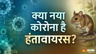 क्या कोरोने जितना खतरनाक है हंतावायरस (Picture Credit- AI Generated)