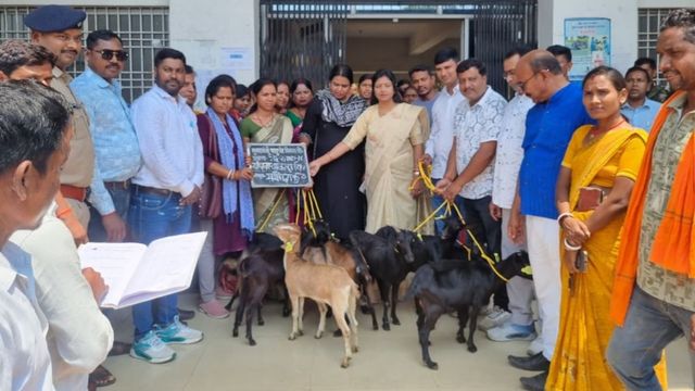 मुख्यमंत्री पशुधन योजना: रामगढ़ में 33 लाभुकों को मिली बकरियां-बत्तख और चूजे
