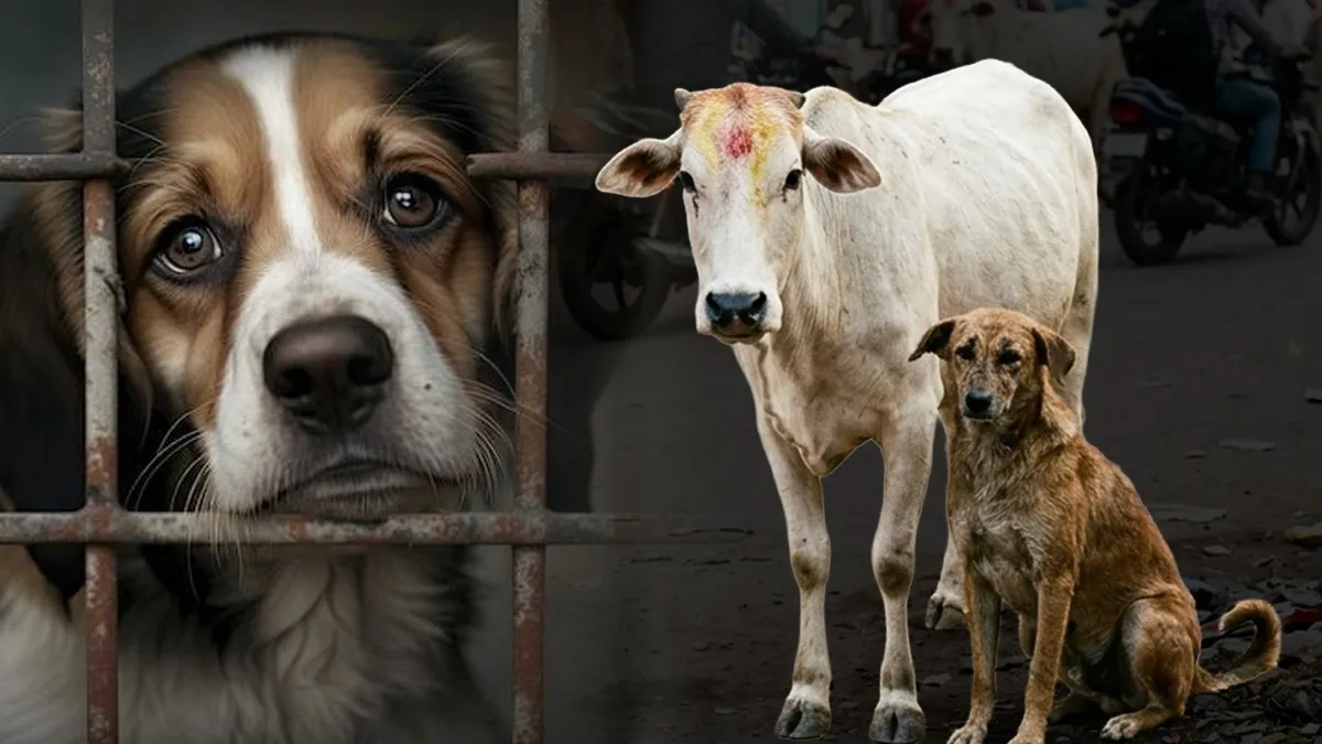 जानवरों से क्रूरता के मामले में एक साल में 10,312 लोग गिरफ्तार, महाराष्ट्र सबसे आगे; NCRB रिपोर्ट में खुलासा