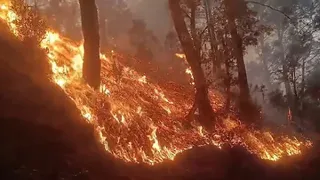 सांकेतिक तस्वीर।