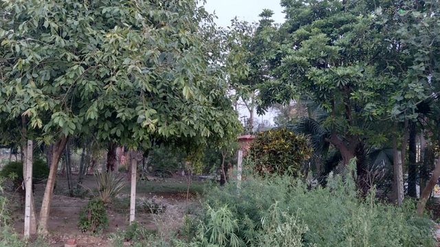 1857 की क्रांति : ऐसा कब्रिस्तान, जहां अंग्रेजों ने दफनाए 52 हिंदू क्रांतिकारी; तोपों के आगे भी नहीं झुके थे बिश्नोई सरायवासी
