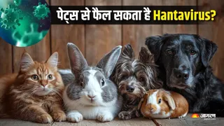 क्या कुत्ते-बिल्ली से भी फैल सकता हैं हंतावायरस? (Picture Courtesy: Freepik)
