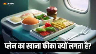 हवाई जहाज में क्यों नहीं आता खाने का असली स्वाद? (Picture Courtesy: Freepik)