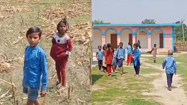 सुपौल के सरकारी स्कूल में शिक्षा व्यवस्था बदहाल, बच्चे खेत-खलिहानों में मस्त; हेडमास्टर मोबाइल में व्यस्त
