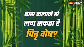 सनातन धर्म में बांस जलाना क्यों है वर्जित? (Picture Credit: Freepik)