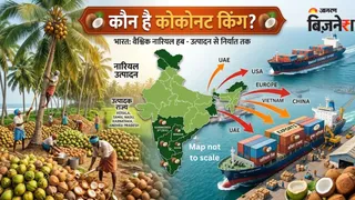 तमिलनाडु है सबसे बड़ा नारियल उत्पादक राज्य (AI फोटो)