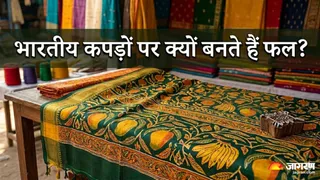 भारतीय कपड़ों पर फलों के डिज़ाइन का गहरा अर्थ और महत्व जानें (Picture Credit- AI Generated)