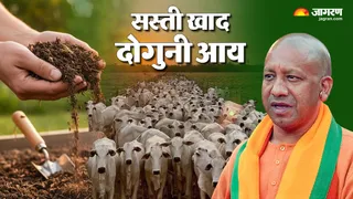 यूपी में गोबर से बदलेगी गांवों की किस्मत