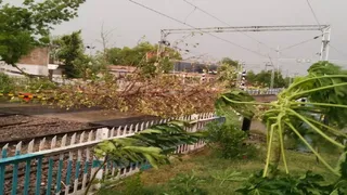 थरवई रेलवे स्टेशन के पास प्रयागराज-जौनपुर रेल मार्ग पर ट्रैक पर गिरा पेड़।