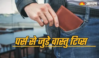 पर्स में रखें ये शुभ चीजें (Picture Credit: Freepik)