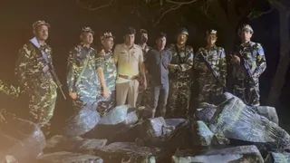 भारत-नेपाल सीमा पर SSB की बड़ी कार्रवाई, 630 KG गांजा जब्त; 1 तस्कर गिरफ्तार