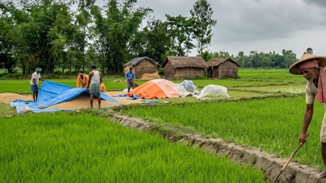 Bihar Rain Alert: उत्तर बिहार में 16 और 17 मई को बारिश की संभावना, किसानों के लिए एडवाइजरी जारी
