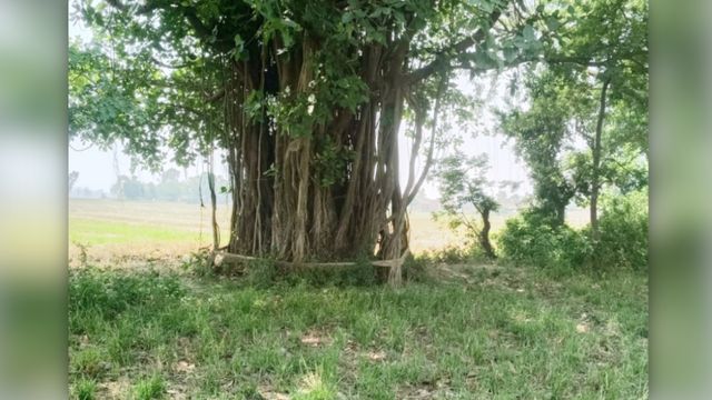 आस्था पर भारी बदइंतजामी: कीचड़ और झाड़ियों से गुजरकर मांगेंगी पति की लंबी उम्र, वट सावित्री व्रत से पहले प्रशासन की खुली पोल
