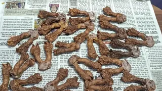 मॉनिटर लिजार्ड के 30 हत्था के साथ भाजपा नेता समेत तीन गिरफ्तार
