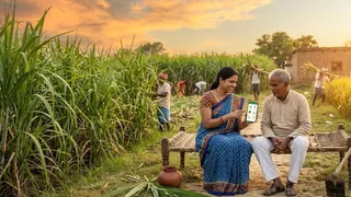 बिहार में अब किसानों को 'ईख मित्र' एप से मिलेगी गन्ना खेती की जानकारी ...