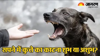 सपने में कुत्ता काटने का क्या है अर्थ? (Picture Credit: Freepik)