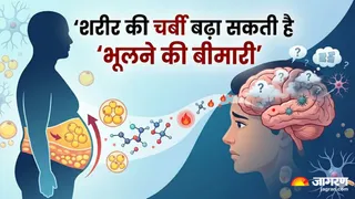 बॉडी फैट में बदलाव से गंभीर हो सकता है अल्जाइमर रोग (Image Source: AI-Generated)