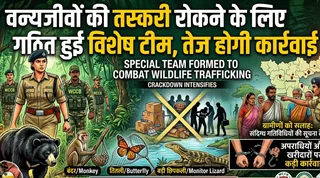 वन्यजीव अपराध नियंत्रण ब्यूरो की विशेष टीम गठित। (विजुअल: एआई जेनरेटेड)