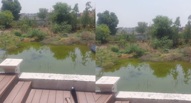 टीडीआई पानीपत में बड़ा संकट, खुले में बहाया जा रहा बिना ट्रीट किया सीवेज, लोगों में इंदौर जैसी त्रासदी का डर

