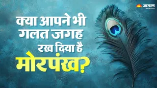 Vastu Tips: घर की इन जगहों पर रखा मोरपंख खींच लाता है कंगाली।