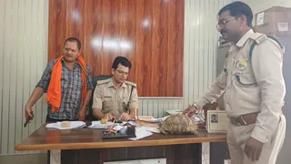 वनकर्मियों के कब्जे में दुर्लभ कछुआ (टेबल पर)