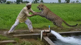 AI जेनरेटिड फोटो