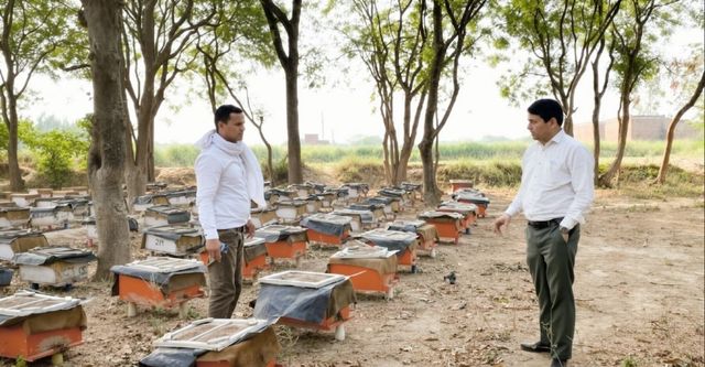 नौकरी के पीछे भागना छोड़ा, मधुमक्खियों से दोस्ती कर लखपति बना कानपुर देहात का विपिन, मधुमक्खी पालन से संवारा भविष्य
