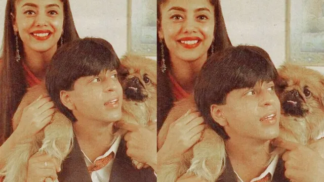 जब Shah Rukh Khan ने रात ढ़ाई बजे खुदवाई थी पालतू कुत्ते की कब्र, सालों बाद सामने आया हैरान करने वाला किस्सा