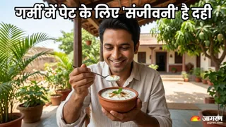 दही के अनगिनत फायदे (Picture Credit- AI Generated)