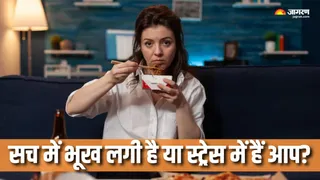 क्यों इमोशनल ईट करते हैं कुछ लोग? (Picture Courtesy: Freepik)