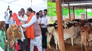 छत्तीसगढ़ में जमीन के इंतजार में गोधाम योजना (फाइल फोटो)
