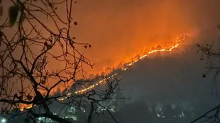 बागेश्वर में ग्राम पंचायत पलसू अंगड़ीं में आग गांव के नज़दीक पहुंची। सौ. दीपक।
