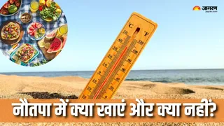 नौतपा में कैसी होनी चाहिए डाइट? (Picture Courtesy: Freepik)