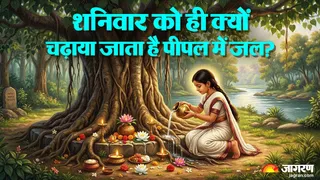 Astrology: शनिवार को पीपल के पेड़ में जल देने की परंपरा क्यों है?