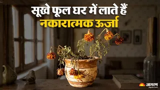 Vastu Tips: कहीं आपके घर में भी तो नहीं रखे हैं सूखे फूल?