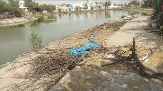 भनकपुर का अमृतसर सरोवर। जागरण