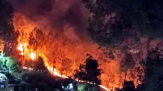 सांकेतिक तस्वीर।