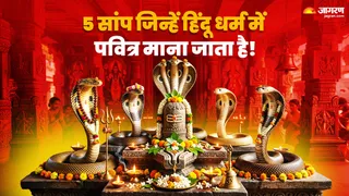 5 सांप जिन्हें हिंदू धर्म में माना जाता है पवित्र (AI-Generated Image)