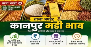 कानपुर मंडी भाव।