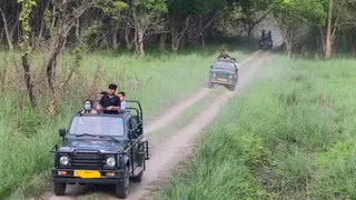 पीलीभीत टाइगर रिजर्व में सफारी करते पर्यटक। जागरण
