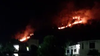 बागेश्वर के नदीगांव के जंगलों में लगी आग। सौ. ग्रामीण।