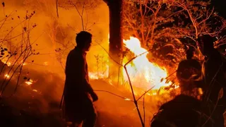 देवप्रयाग में नृसिंहाचल पर्वत के जंगलों में आग पर काबू पाने का प्रयास करते श्रीरघुनाथ कीर्ति परिसर के अध्यापक और वनकर्मी। जागरण