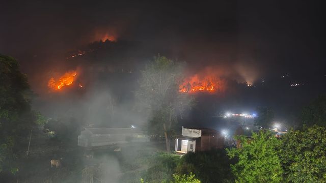 अल्मोड़ा में जंगलों में आग लगाने वालों पर शिकंजा, दो थानों में एफआईआर
