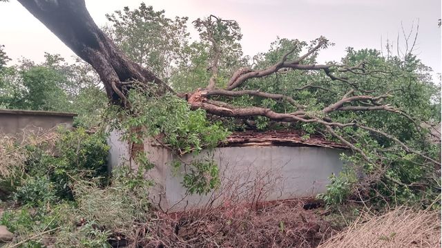 कुमारडुंगी में वज्रपात से 10 वर्षीय बच्चे की मौत, आंधी-तूफान और ओलावृष्टि से एक दर्जन से अधिक घायल
