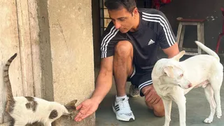 स्ट्रे डॉग्स व बिल्ली के साथ सोनू सूद।